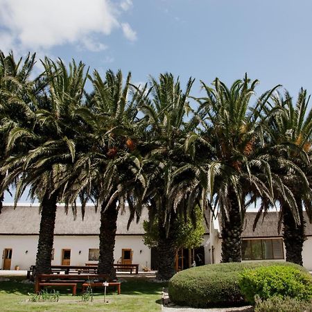 Springfontein Wine Estate Hotel Stanford Eksteriør billede